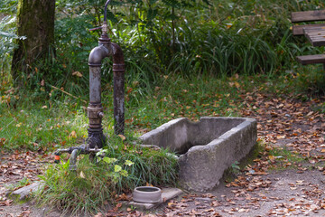 Old Trough in a nature reserve