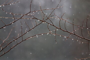 풍경, 사진, 달, 도로,