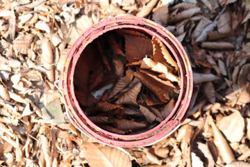 풍경, 사진, 달, 도로,