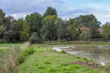 Fototapeta na wymiar Countryside along the river river 