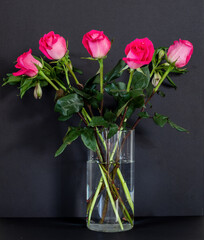 Bouquet of pink roses in the glass vase on the black background