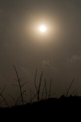 풍경, 사진, 달, 도로,