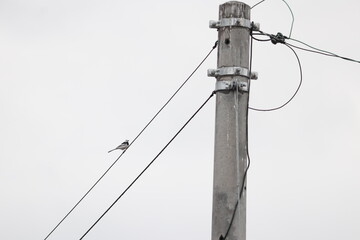 풍경, 사진, 달, 도로,