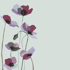 flowers poppies on the left side vector right place is free for inscription