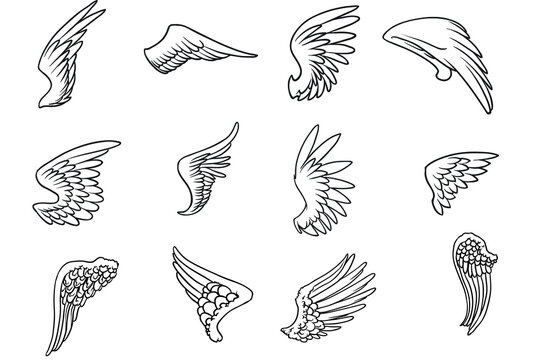 Wings Icon Set, Bird Drawing In Spread And Motion. Angel Shape Element. Vector Wings Sketch Illustration Isolated On White Background