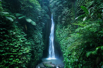 Amazing Leke-Leke waterfall near Ubud in Bali, Indonesia.  Secret Bali jungle Waterfall - Powered by Adobe