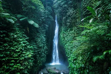  Verbazingwekkende Leke-Leke waterval in de buurt van Ubud in Bali, Indonesië. Geheime jungle-waterval in Bali © Andrii Vergeles