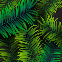 Tropical palm leaves design for text card. Vector illustration EPS10