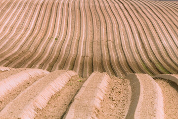 Landscape with plowed furrows in a field located on the hill under the blue sky.