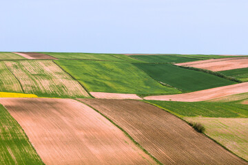 Landcsape with field and sky. - 354679206
