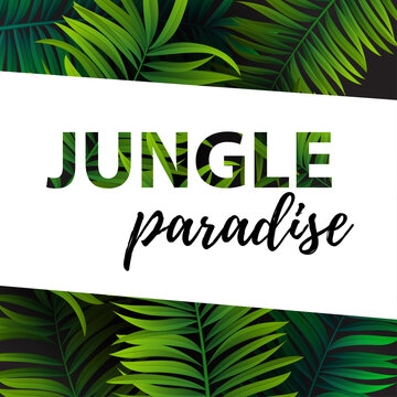 Tropical palm leaves design for text card. Jungle paradise lettering quote. Vector illustration EPS10