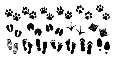 Obraz premium Dog ,cat and human paw print vector icon