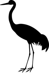 Black silhouette of Common crane or Grus communis isolated on white background