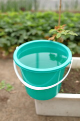 Green Bucket Full of Water in Greenhouse