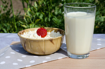 Plate with fresh cottage cheese and strawberries, a glass of milk on a background of nature. Healthy eating concept.