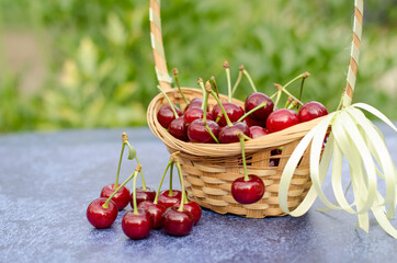 Cherry in a wicker basket on a background of nature. Fresh cherry fruits close-up on a gray background. Summer fruits. Gardening concept.