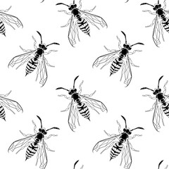 Wasp insect seamless pattern. Dangerous design for textile, fabric texture. Black and white bugs isolated on white background. Vector Bumblebee drawing tile. Wild Nature graphic print