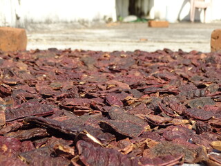 Acacia concinna spreaded evenly for sun dry