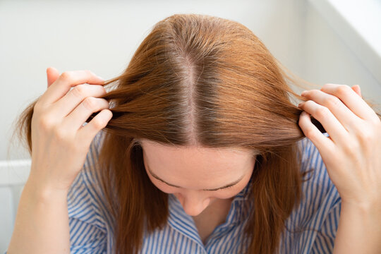 Woman Shows Regrown Hair Roots. Long Dyed Hair, Growing Natural Color. Gray.