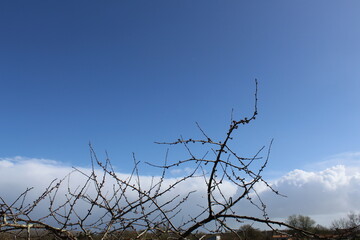 ciel bleu avec nuages en forme de montagnes