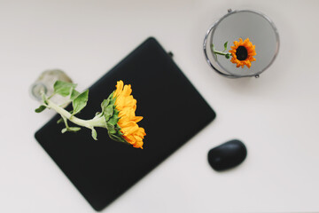 Laptop on white table with fresh sunflower. Minimal home office desk workspace. Work at home concept.
