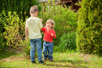 Fototapeta premium Two European boys communicate, talk in the garden. Stay in the fresh air.