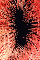 나무, 건물, 곤충, 한옥