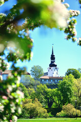 castle in the park