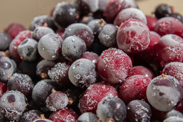 Frozen berries in a plate. Fresh frozen cherries and currants. Berries covered with frost