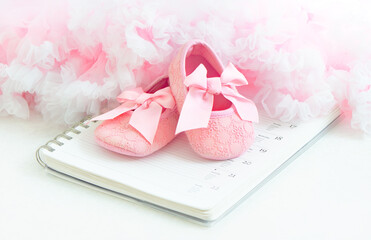 Pair of pink Baby's bootees close-up on organizer background