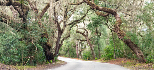 Fort Clinch State Park, Florida. Beautiful road across the alley