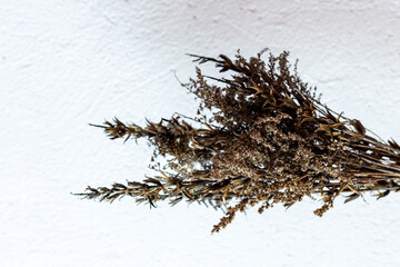 
Bouquet of dried herbs on a white background.