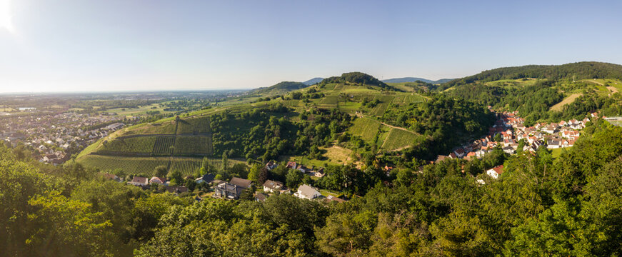Aerial / Drone Panorama of Vineyard between Heppenheim and Bensheim at the Bergstra&szlig;e in Hessen during sunset with a cloudless sky