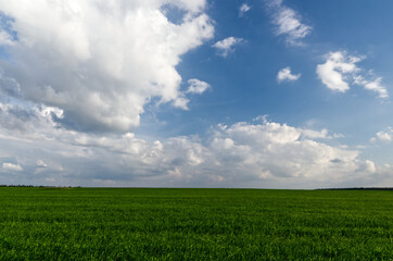 Sky. clouds, field. Beautiful landscape. Beautiful, picturesque clouds.