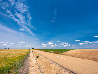 Road through cereal fields in the fields of Spain on a summer afternoon.
