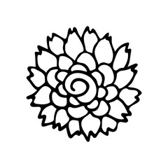 Flowers.Botanical vector illustration.Ink drawing in Doodle style. Isolated object on a white background. Decorative element for spring and summer design, wedding, vignettes.