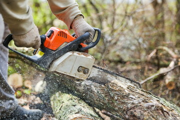sawing orange chainsaw close up