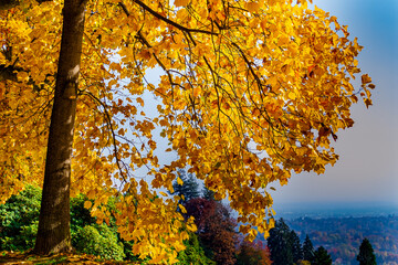 Panorama and foliage in the Burcina public park (Biella, Piedmont, Italy).
