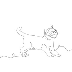 little-kitten-line-art-one line art