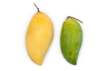 Raw mangoes and ripe mangoes on a white background