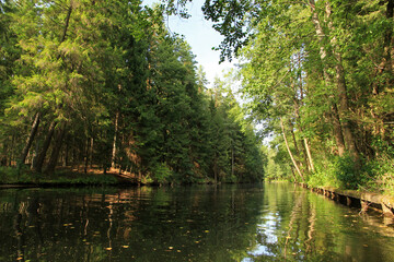 Fototapeta na wymiar Augustow Canal, Augustow Primeval Forest, Suwalki Region in Poland