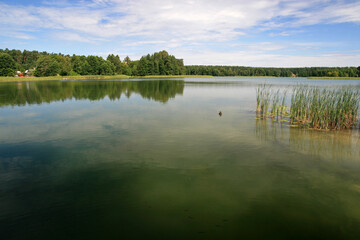 Studziennicze lake, Augustow Primeval Forest, Suwalki Region in Poland
