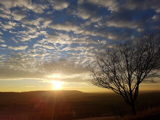 Sonnenuntergang im Fränkischen Weinberg bei Abtswind.
Fotos aufgenommen mit der Canon EOS 1200d mit Tamron Objektiv.