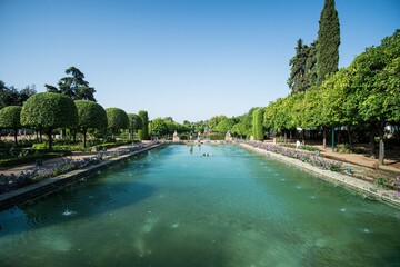 Colonnade of trees around water stream in Cordoba, Spain on a sunny day