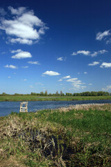 Landscape od Biebrza river in Biebrza National Park, Poland