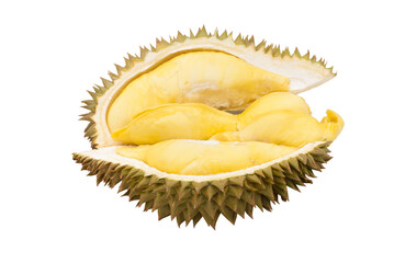 Obraz premium durian on white background