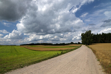 Fototapeta na wymiar Country road in the field in Bory Tucholskie National Park, Poland