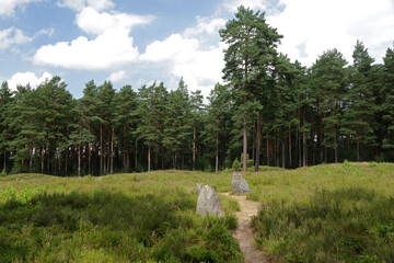 Fototapeta na wymiar Stone circles near Odry village in Bory Tucholskie National Park, Poland
