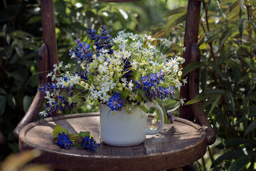 A bouquet of wild flowers in a white vase on a wooden chair in the garden. 