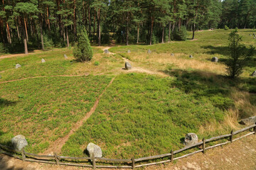Stone circles near Odry village in Bory Tucholskie National Park, Poland